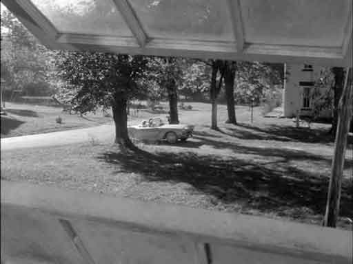 View from the chicken house (1961)