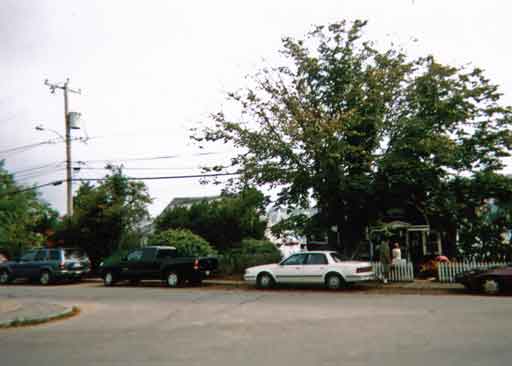 Rocky Neck Ave. - August, 2009